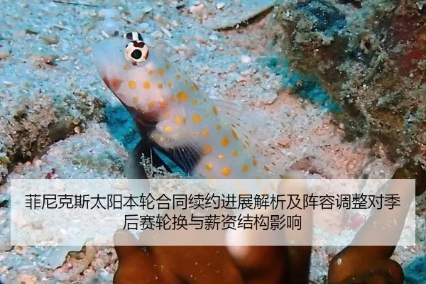 菲尼克斯太阳本轮合同续约进展解析及阵容调整对季后赛轮换与薪资结构影响